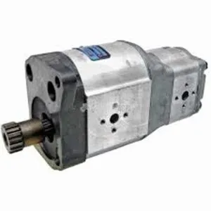Double hydraulic pump